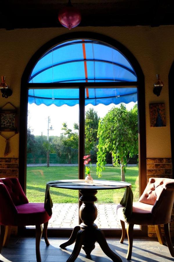 Seyyah Cafe Bungalows Aliaga المظهر الخارجي الصورة